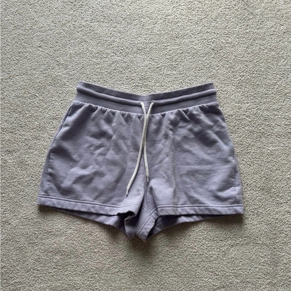Aritzia Pants - Aritzia Sunday Best Shorts